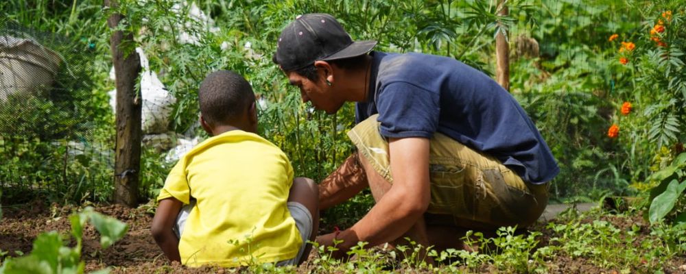 Se abrió la Convocatoria para que Jóvenes Creen y Cultiven sus Huertas Comunitarias