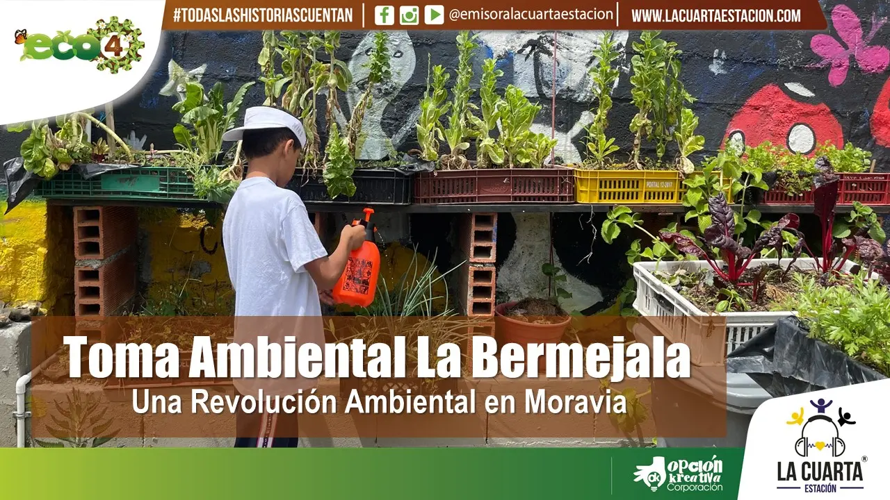 Décima Toma Ambiental La Bermejala: Educación Ambiental en Acción