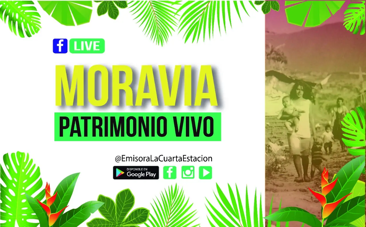 Solidaridad Gastronómica Para La Comuna